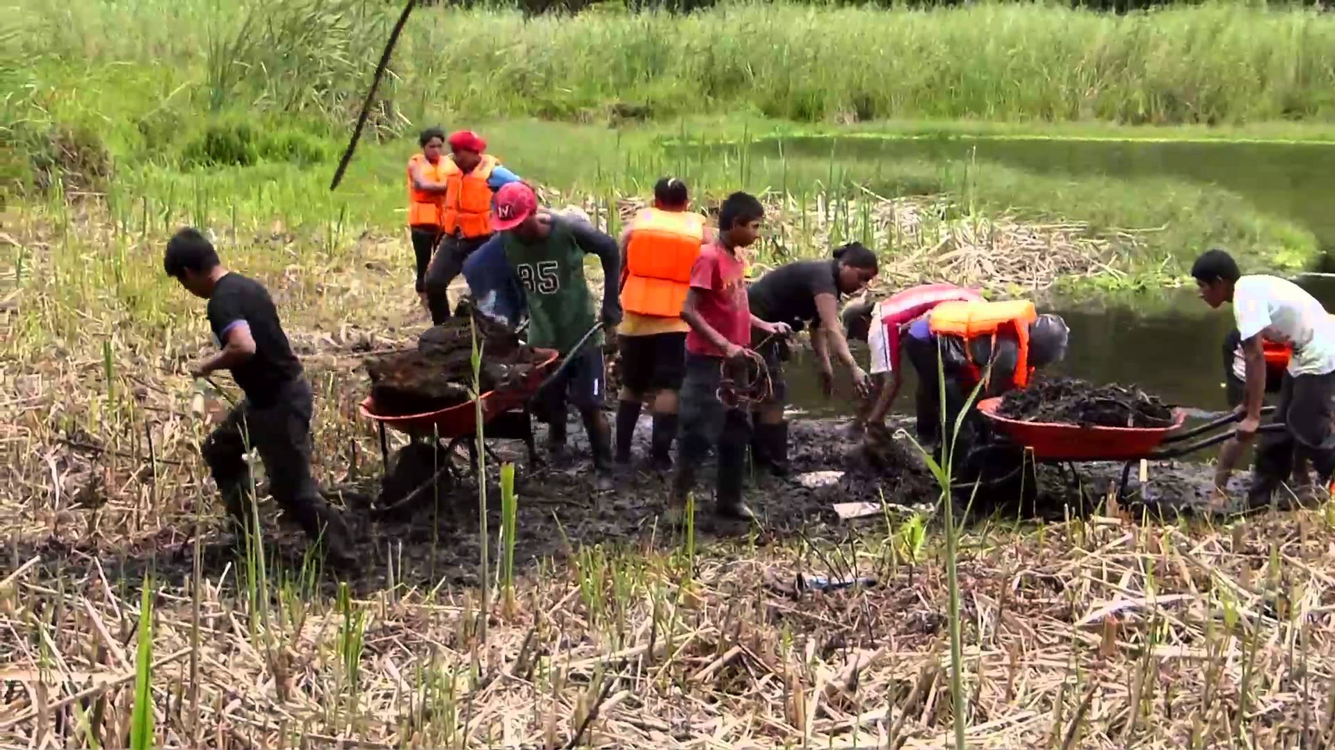 Evangelio del día - Lectio Divina Mateo 16, 24-28 | Cristonautas.com
