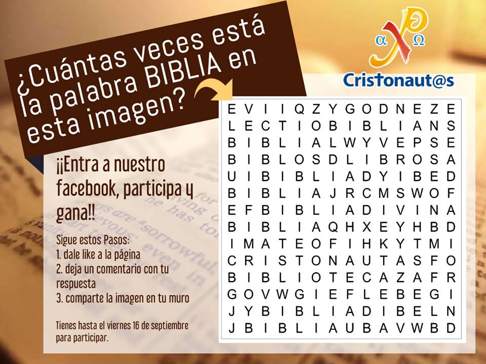 cuantas-veces-esta-la-palabra-biblia-en-esta-imagen